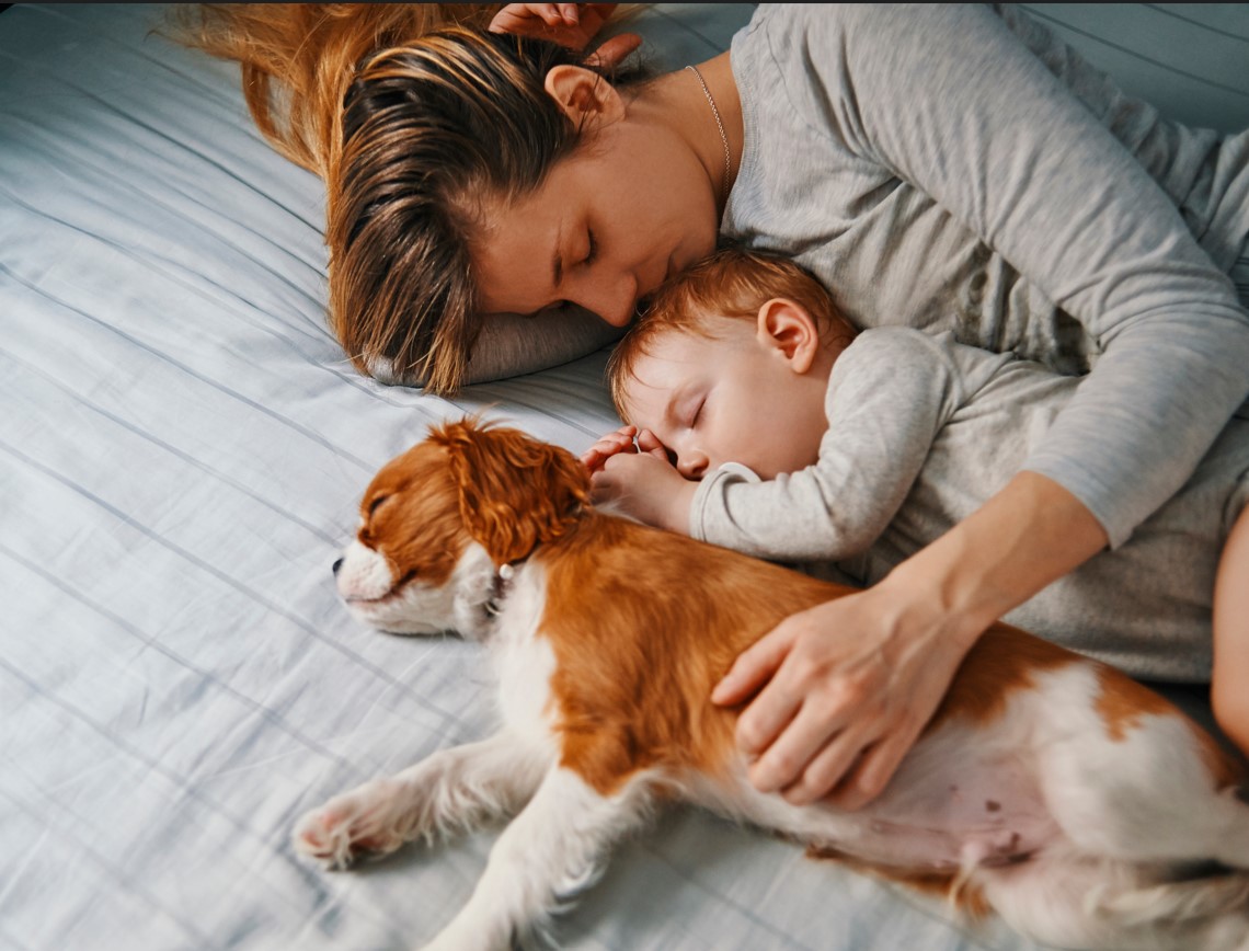 Anne, Çocuk ve Köpek